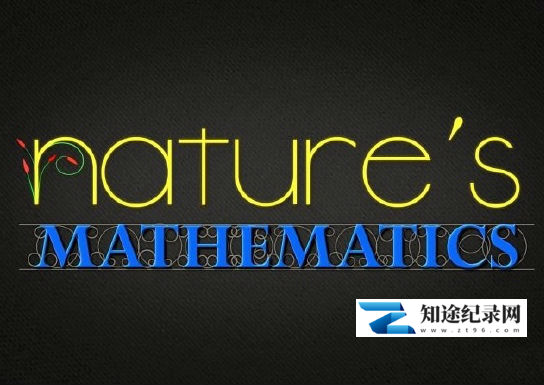 [BBC]大自然的数学 Nature's.Mathematics-知途纪录片网盘资源下载