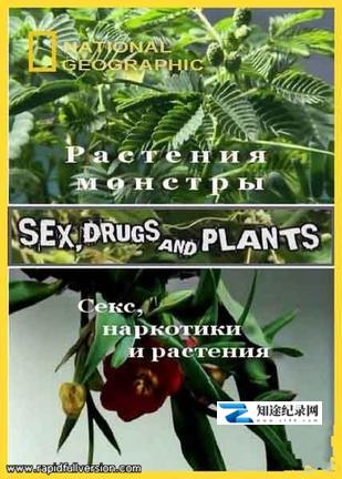 [国家地理]植物的奥妙世界 Sex, Drugs And Plants-知途纪录片网盘资源下载