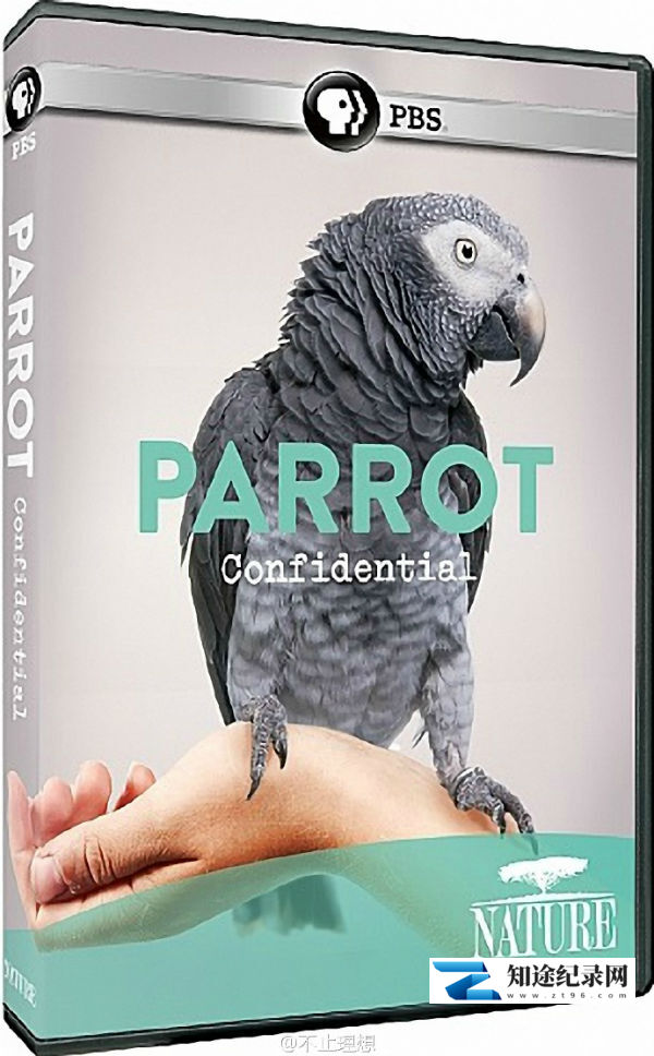 [PBS]解密鹦鹉 Parrot Confidential-知途纪录片网盘资源下载