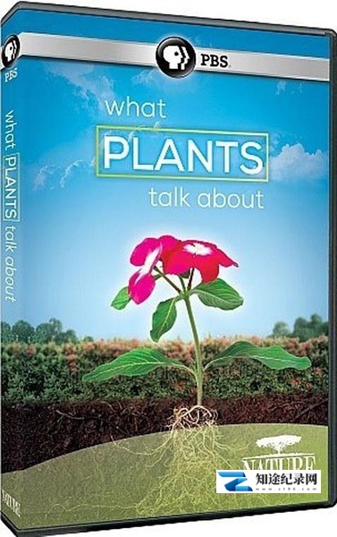 [PBS]植物间的对话 What Plants Talk About-知途纪录片网盘资源下载