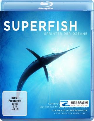 [PBS]超级鱼类 The Natural World Superfish-知途纪录片网盘资源下载