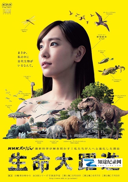 [NHK]生命大跃进 生命大躍進-知途纪录片网盘资源下载