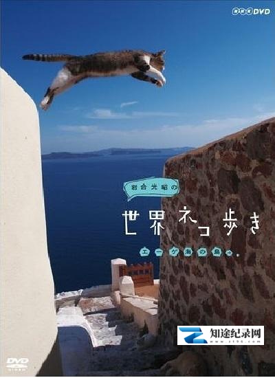 [NHK]岩合光昭的猫步走世界 岩合光昭 岩合光昭の世界ネコ歩き-知途纪录片网盘资源下载