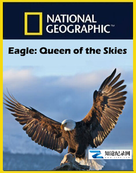[国家地理]鹰天空的女王 Eagle Queen of the Skies-知途纪录片网盘资源下载