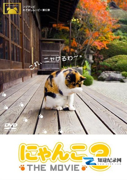 [NHK]猫咪物语3 にゃんこ THE MOVIE3-知途纪录片网盘资源下载