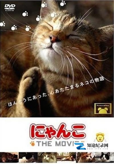 [NHK]猫咪物语 にゃんこ THE MOVIE-知途纪录片网盘资源下载