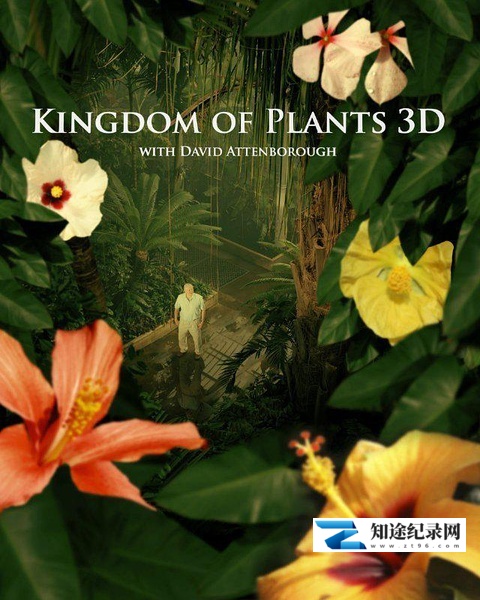 [BBC]植物王国 Kingdom of Plants 3D-知途纪录片网盘资源下载