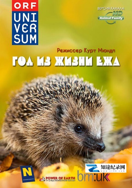 [其他]刺猬的一年 The Year of the Hedgehog-知途纪录片网盘资源下载