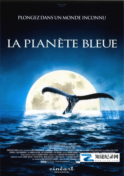 [BBC]深蓝 Deep Blue-知途纪录片网盘资源下载