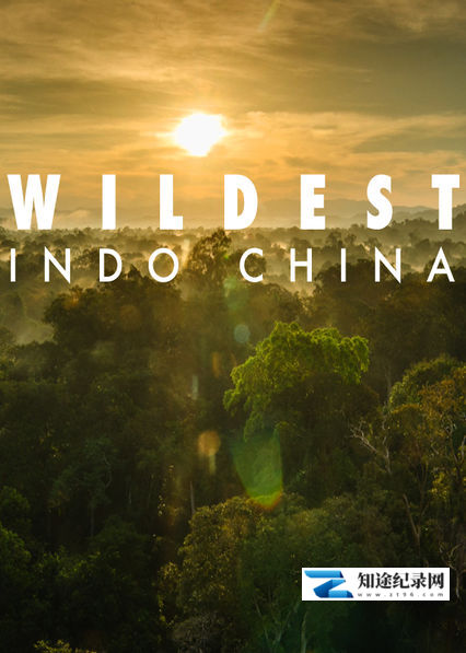 [Discovery]中南半岛野生大地 Wildest Indochina-知途纪录片网盘资源下载