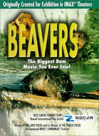 [IMAX]海狸 Beavers / 海狸一家-知途纪录片网盘资源下载