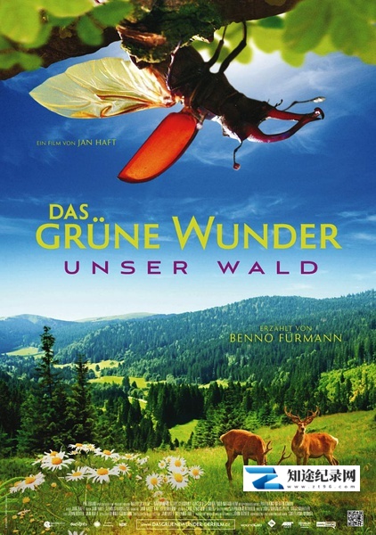 [其他]大自然之舞 Das grüne Wunder - Unser Wald-知途纪录片网盘资源下载