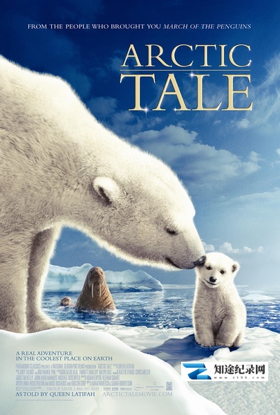 [Discovery]北极故事 Arctic Tale-知途纪录片网盘资源下载