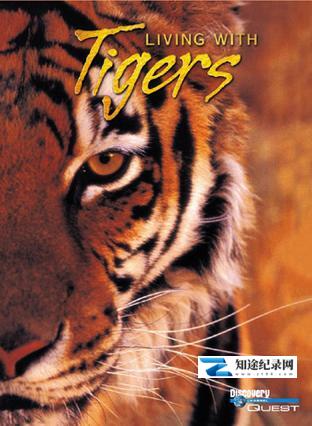 与虎同行 / Living With Tigers