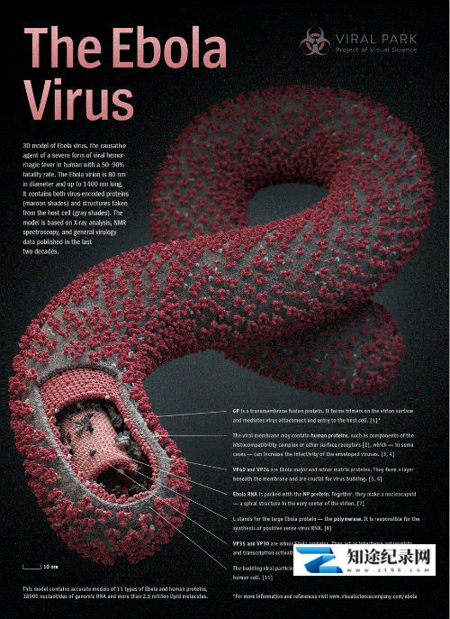 [国家地理]瘟疫抗战 对抗埃博拉 The Fight Against Ebola-知途纪录片网盘资源下载