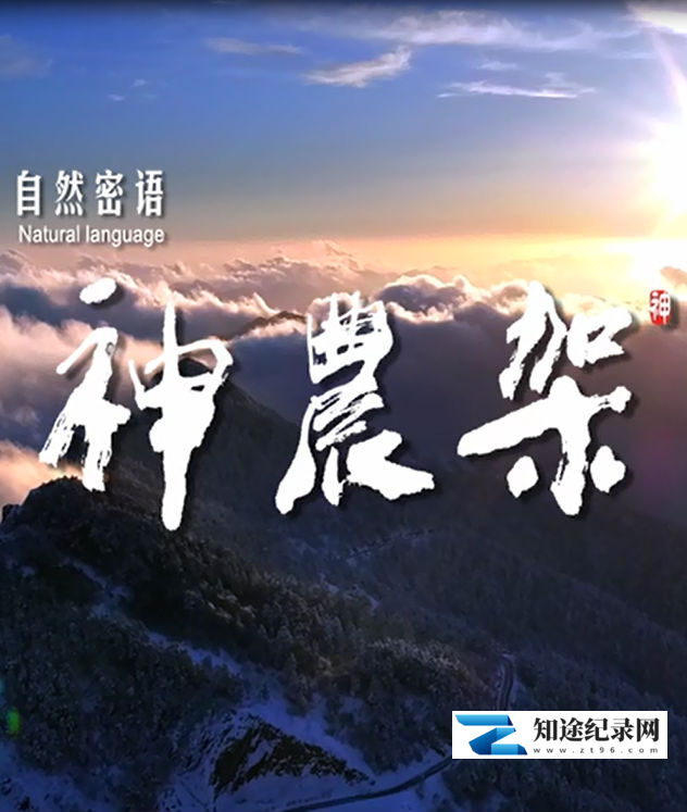 [CCTV]自然密语：神农架 自然密语——神农架-知途纪录片网盘资源下载