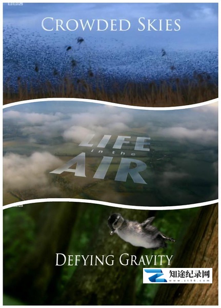 [BBC]空中的生命 第一季 Life in the Air Season 1-知途纪录片网盘资源下载