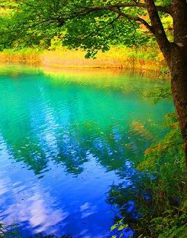 [NHK]里盘梯五色沼 ~神秘的水下世界~  里盘梯五色沼 ~神秘的水下世界~-知途纪录片网盘资源下载