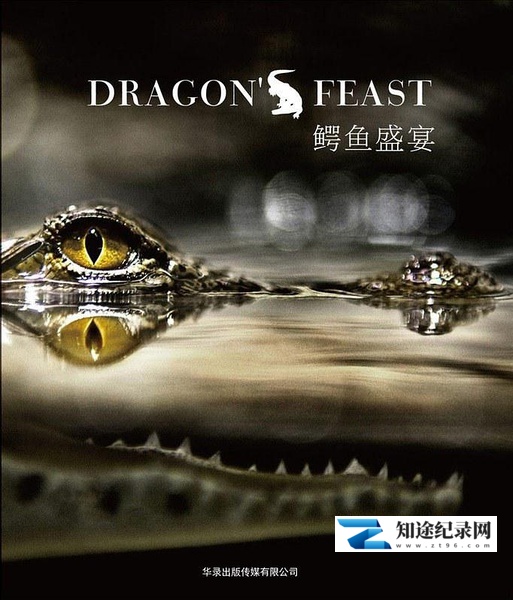[国家地理]鳄鱼盛宴 Dragon's Feast-知途纪录片网盘资源下载