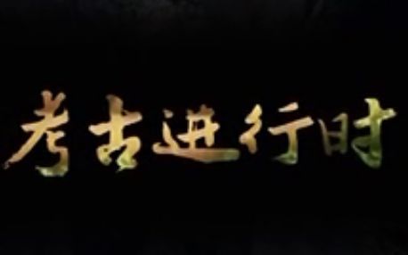 考古进行时第二季 / 考古进行时2017