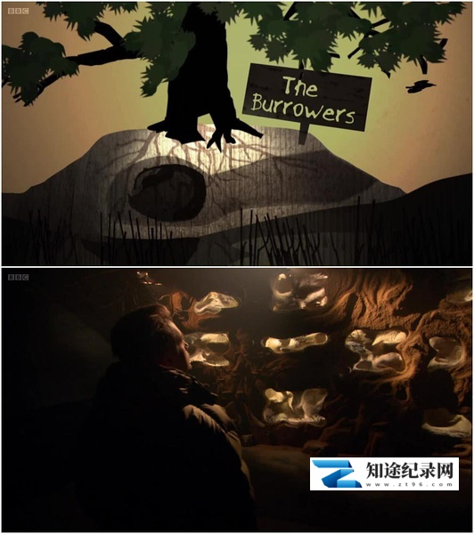 [BBC]穴居动物大观  盗火字幕组翻译中 The Burrowers: Animals Underground Season 1-知途纪录片网盘资源下载