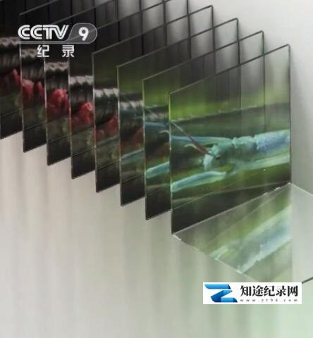 [BBC]探秘微型动物世界 探秘微型动物世界-知途纪录片网盘资源下载