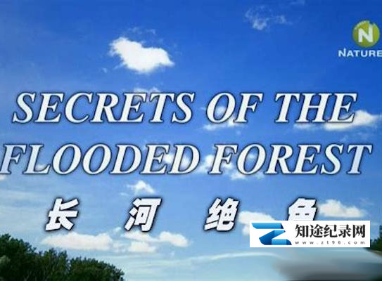 [BBC]泛滥森林的秘密 长河绝色 Secrets of the Flooded Forest-知途纪录片网盘资源下载