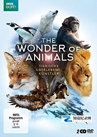 [BBC]神奇动物大揭秘 The Wonder of Animals-知途纪录片网盘资源下载
