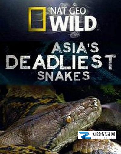 [国家地理]亞洲毒蛇之最 Asia's Deadliest Snakes-知途纪录片网盘资源下载