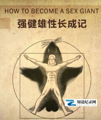 强健雄性成长记 / 强健雄性成长记