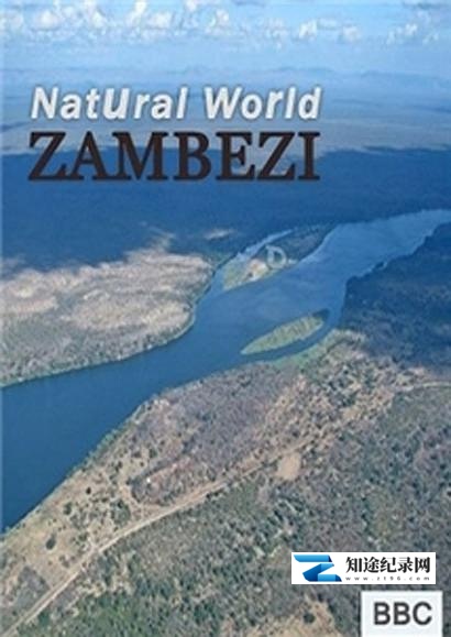 赞比西河 / Zambezi