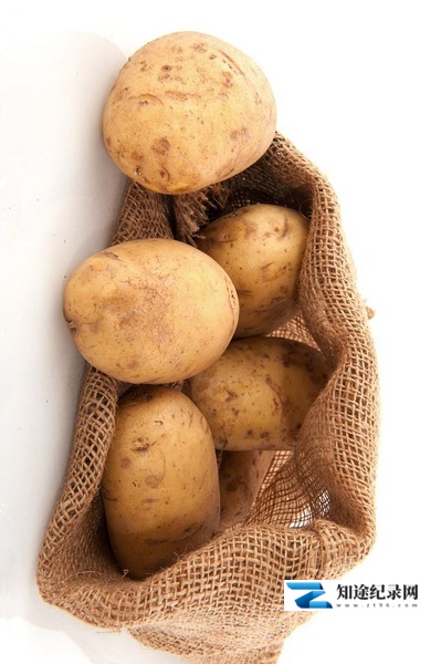 [CCTV]舌尖上的马铃薯 舌尖上的马铃薯-知途纪录片网盘资源下载