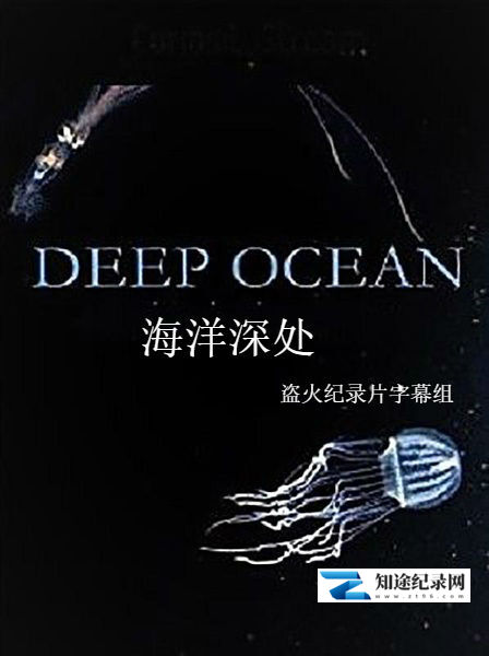 [NHK]海洋深处 Deep Ocean-知途纪录片网盘资源下载