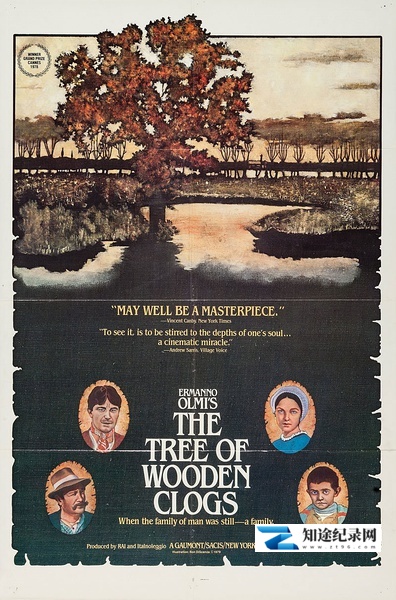 [其他]木屐树 albero degli zoccoli-知途纪录片网盘资源下载