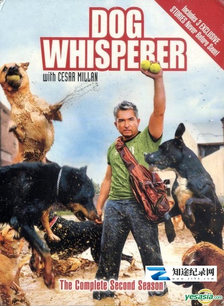 [国家地理]狗语者 全集 Dog Whisperer with Cesar Millan / 报告狗班长-知途纪录片网盘资源下载