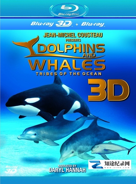 [IMAX]海豚和鲸鱼 3D Dolphins & Whales Tribes of the Ocean 3-知途纪录片网盘资源下载