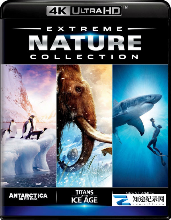 [IMAX]自然生态精选 The BBC Natural World Collection R3-知途纪录片网盘资源下载