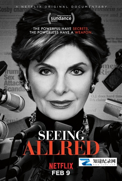 [Netflix]看见阿尔里德 Seeing Allred-知途纪录片网盘资源下载