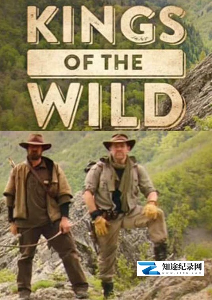 [Discovery]丛林野食王 Kings of the Wild-知途纪录片网盘资源下载