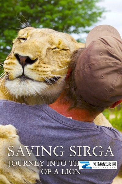 [其他]拯救希尔加:走进狮子内心的旅程 Saving Sirga-知途纪录片网盘资源下载