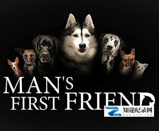 [其他]人类第一个朋友 Man's First Friend-知途纪录片网盘资源下载