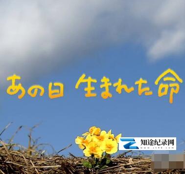 [NHK]生于3·11 东日本大地震三周年 生于3·11 东日本大地震三周年-知途纪录片网盘资源下载