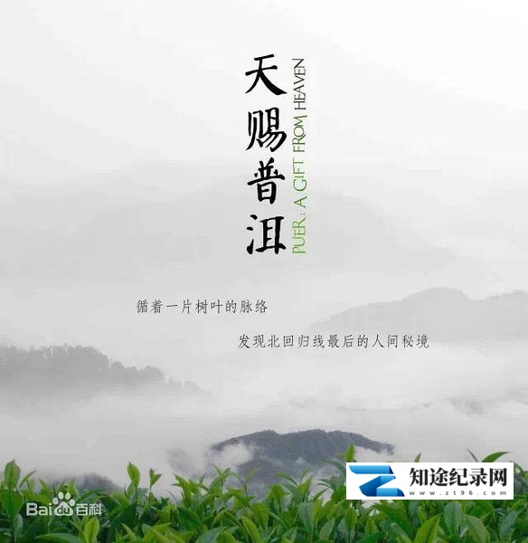[其他]天赐普洱 天赐普洱-知途纪录片网盘资源下载