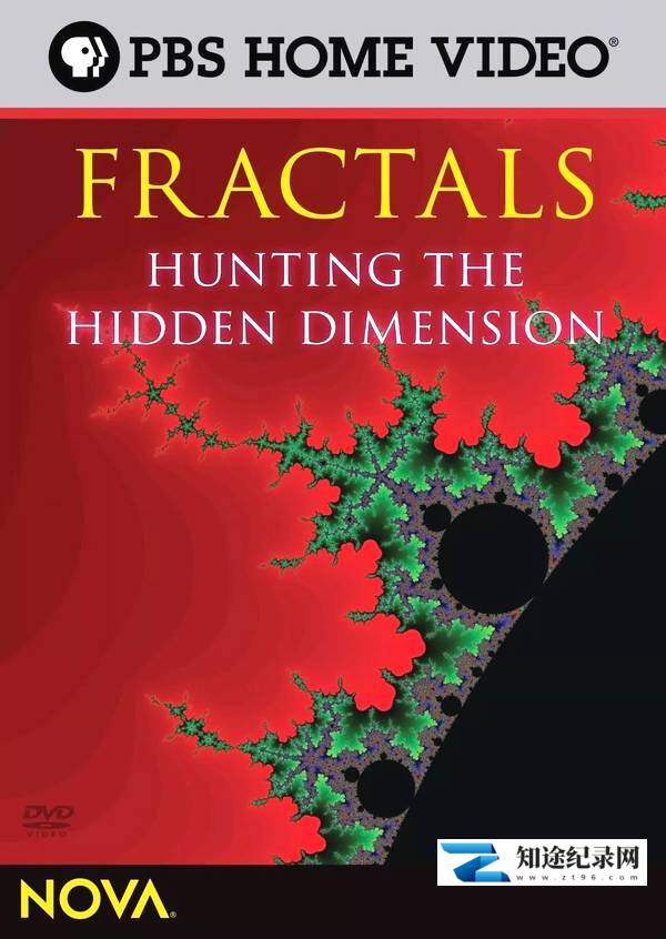 [PBS]寻找隐秘的维度 Hunting the Hidden Dimension-知途纪录片网盘资源下载