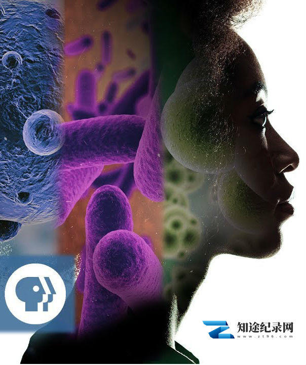 奇迹:人体内的生物 / What's Living in You