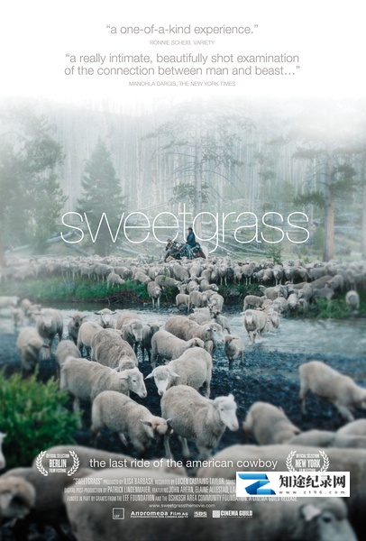 香草 / Sweetgrass
