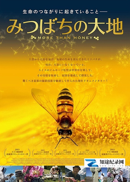 [其他]采得百花成蜜后 More Than Honey-知途纪录片网盘资源下载