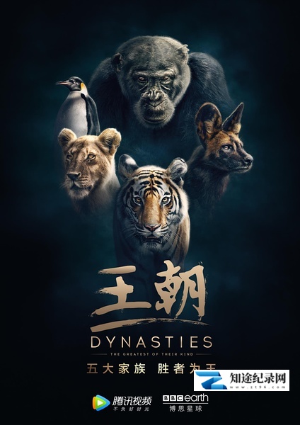 [BBC]王朝 Dynasties-知途纪录片网盘资源下载