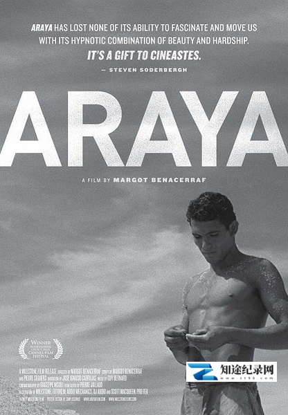 [其他]阿拉亚 Araya-知途纪录片网盘资源下载