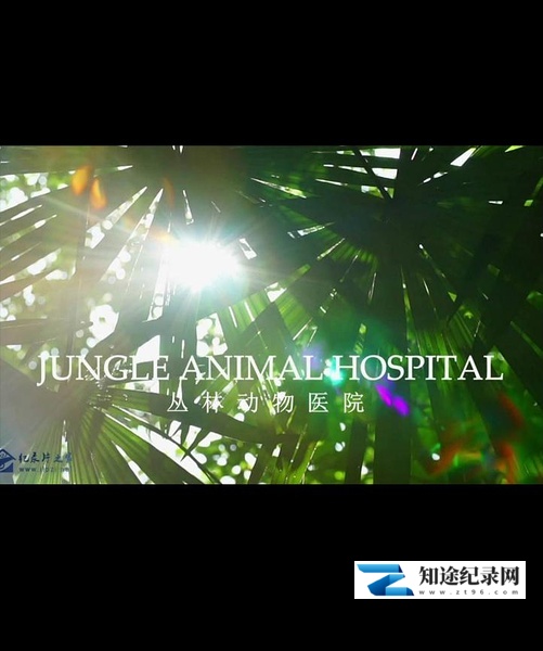 自然世界 丛林动物医院 / Jungle Animal Hospital